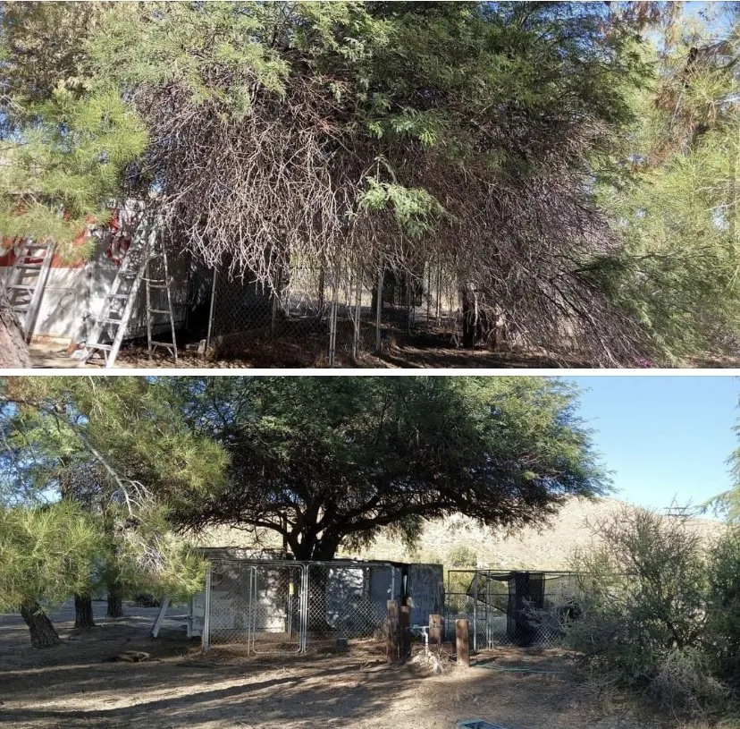 Local outdoor landscaping for outdoor upgrades in Palm Desert, CA by Luis Martinez Gardening and Landscaping