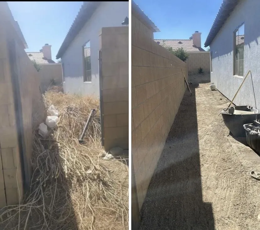 Professional yard maintenance in Palm Desert, CA by Luis Martinez Gardening and Landscaping