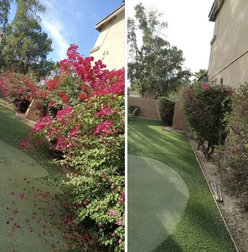 Affordable outdoor landscaping experts serving Palm Desert, CA - Luis Martinez Gardening and Landscaping
