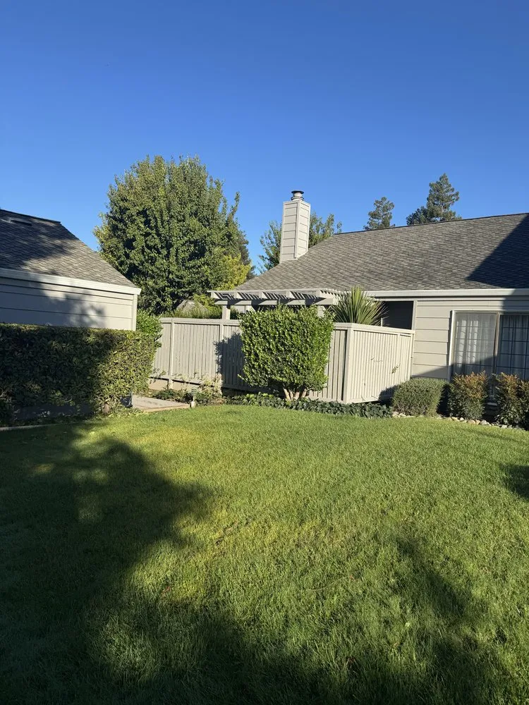 Affordable lawn care service experts serving Salida, CA - Luis Olivares Landscaping