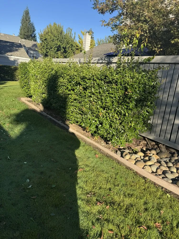 Trusted landscape design for homes in Salida, CA by Luis Olivares Landscaping