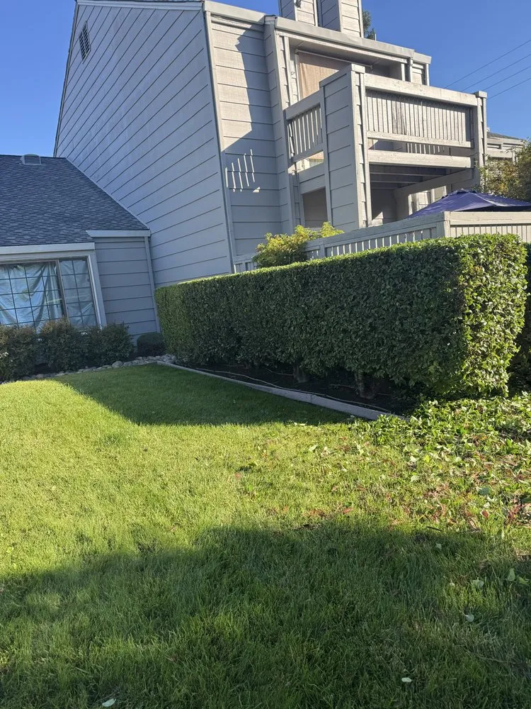 Expert outdoor landscaping for beautiful yards across Salida, CA - Luis Olivares Landscaping