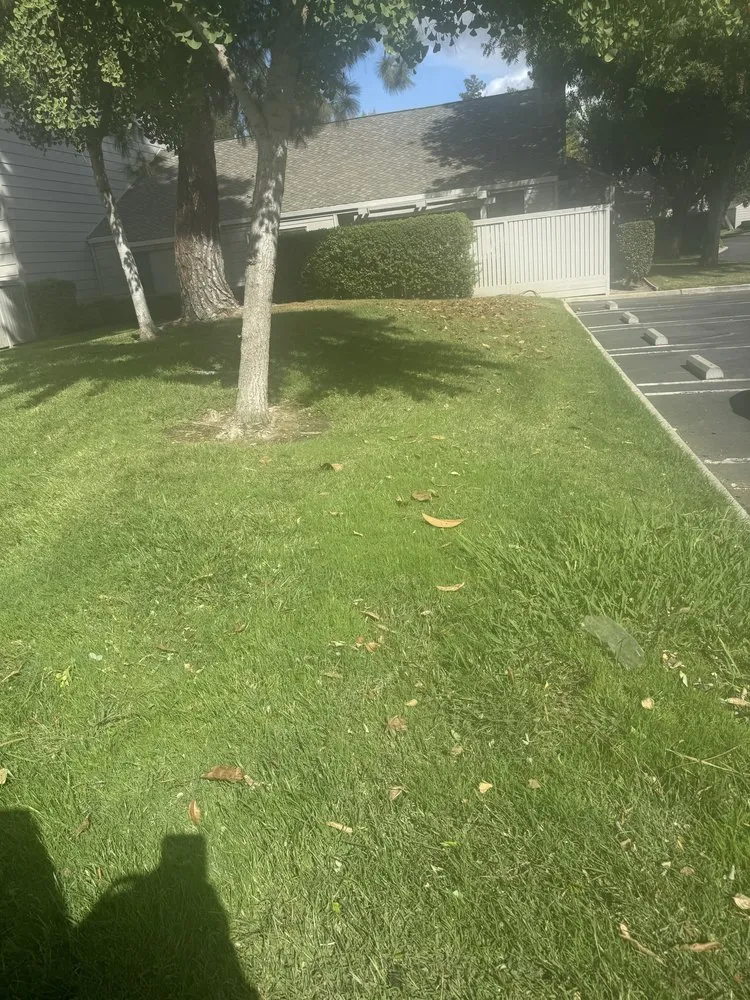 Affordable garden landscaping in Salida, CA - Luis Olivares Landscaping