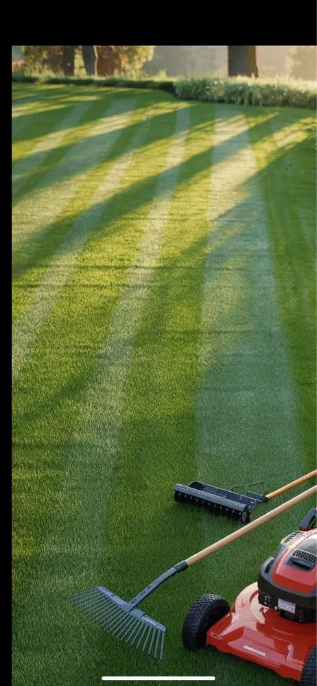 Local yard maintenance in Salida, CA - Luis Olivares Landscaping