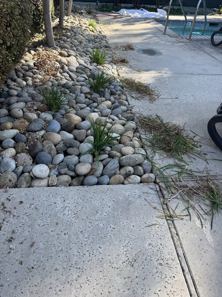 Top-rated landscape design for beautiful yards across Salida, CA - Luis Olivares Landscaping