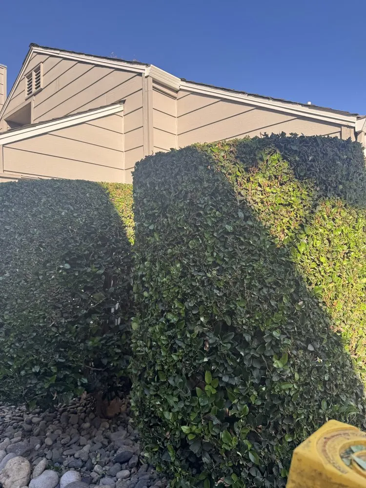 Local landscape installation with custom design in Salida, CA by Luis Olivares Landscaping