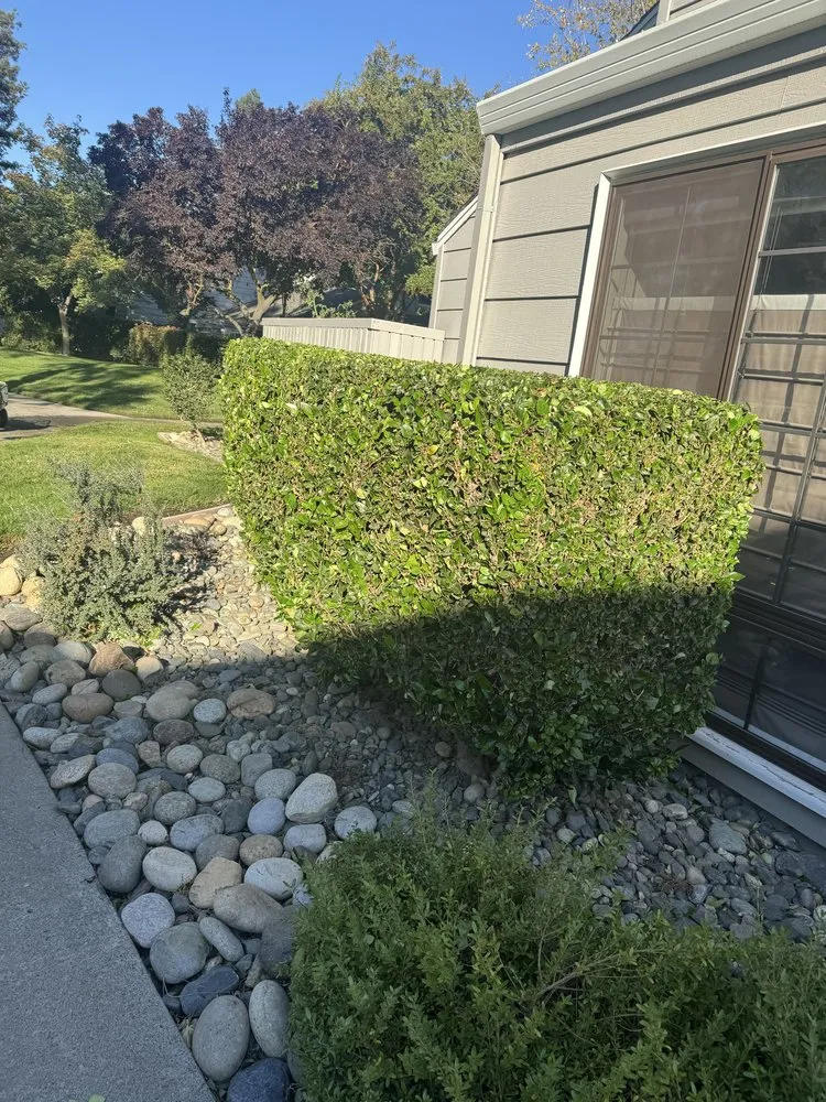 Local lawn mowing service experts serving Salida, CA - Luis Olivares Landscaping