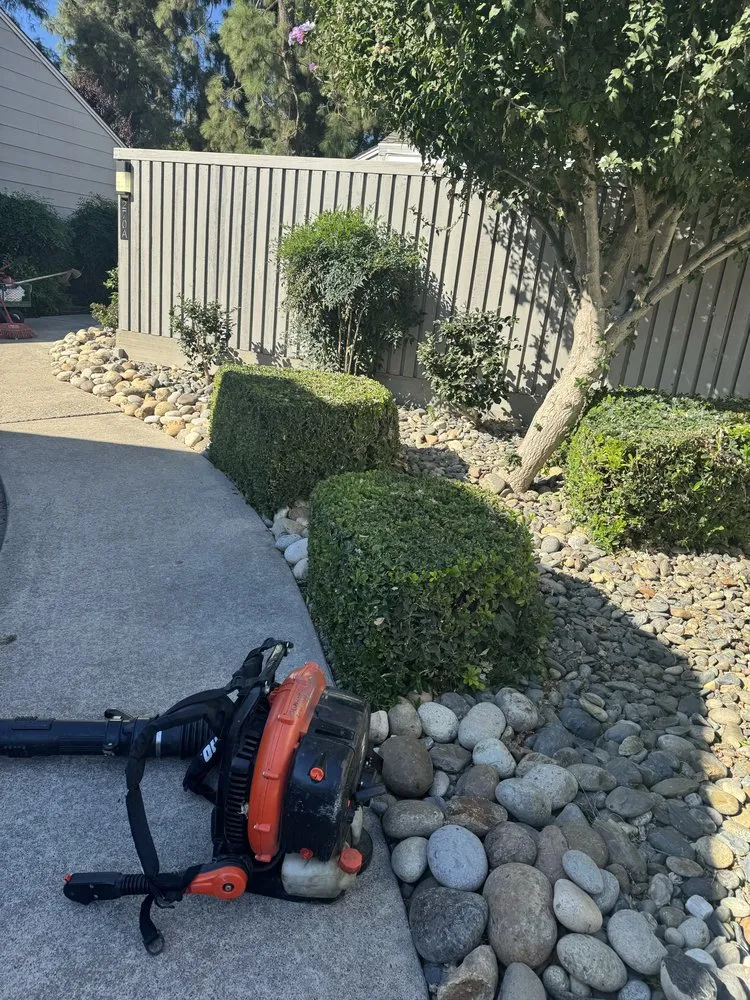 Professional outdoor landscaping in Salida, CA - Luis Olivares Landscaping