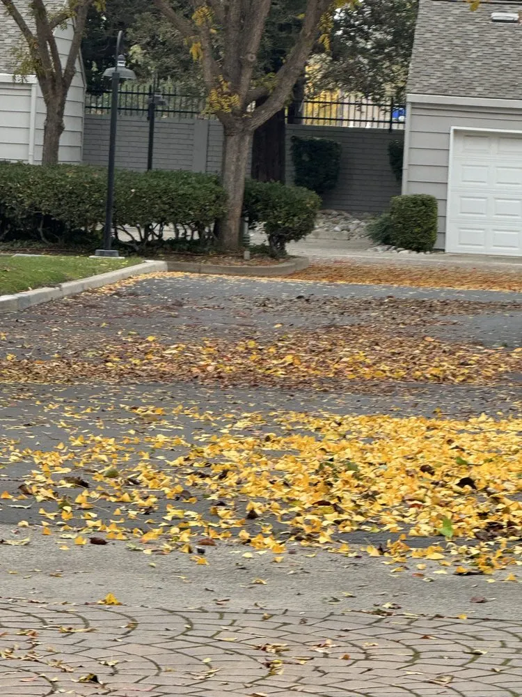 Professional landscape installation with custom design across Salida, CA - Luis Olivares Landscaping