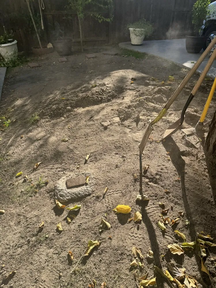 Affordable yard cleanup service in Salida, CA by Luis Olivares Landscaping