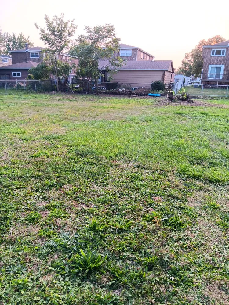 Reliable yard maintenance in Midlothian, IL by Luis Outdoor Services