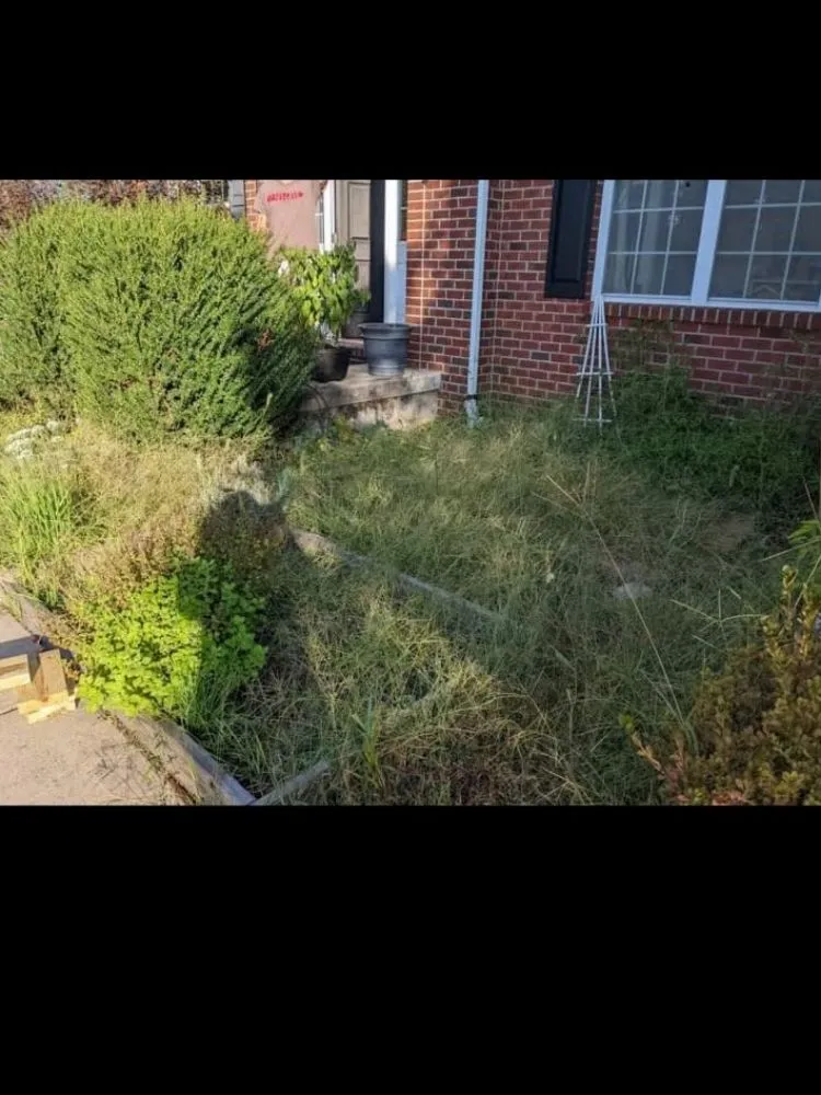 Top-rated yard cleanup service in Norristown, PA - Luis Pr Lanscaping