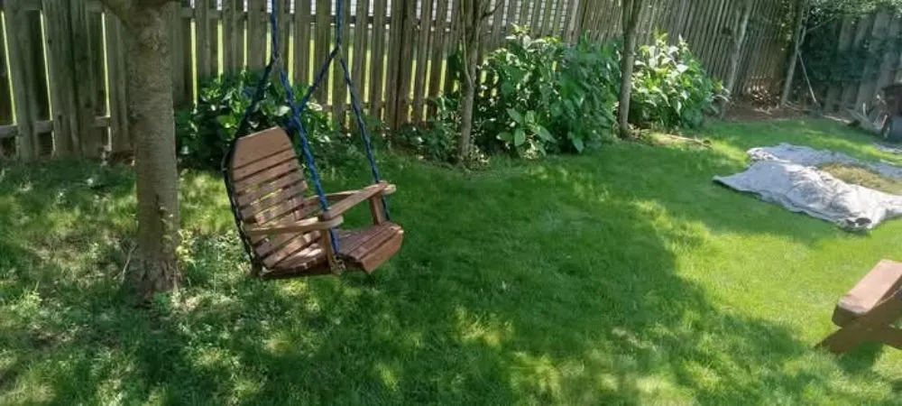 Professional lawn care service experts serving Norristown, PA - Luis Pr Lanscaping