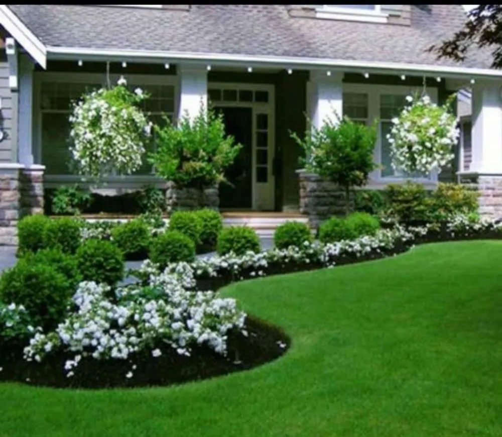 Affordable lawn care service in Norristown, PA by Luis Pr Lanscaping