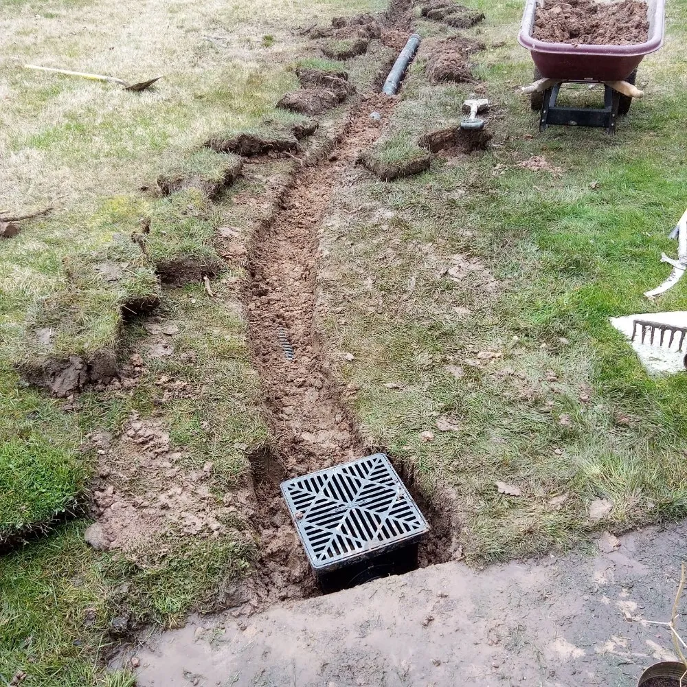 Professional landscape installation for year-round maintenance in Norristown, PA by Luis Pr Lanscaping