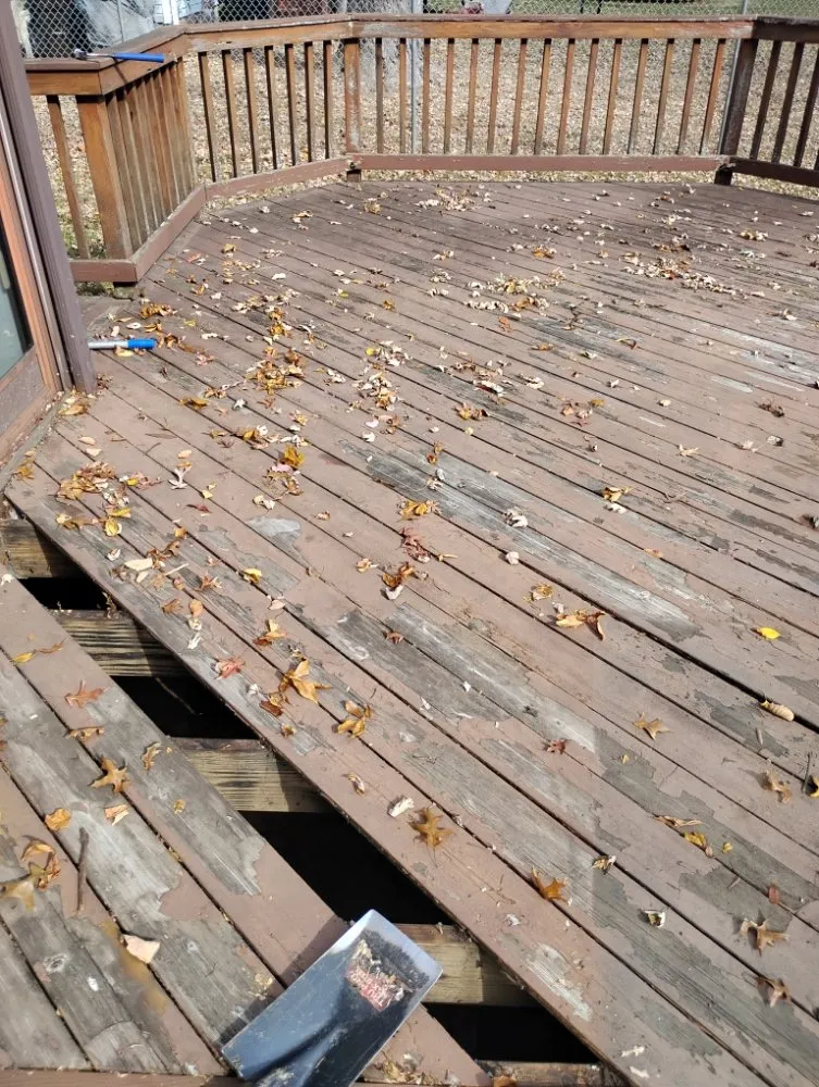 Professional yard maintenance near you across Norristown, PA - Luis Pr Lanscaping