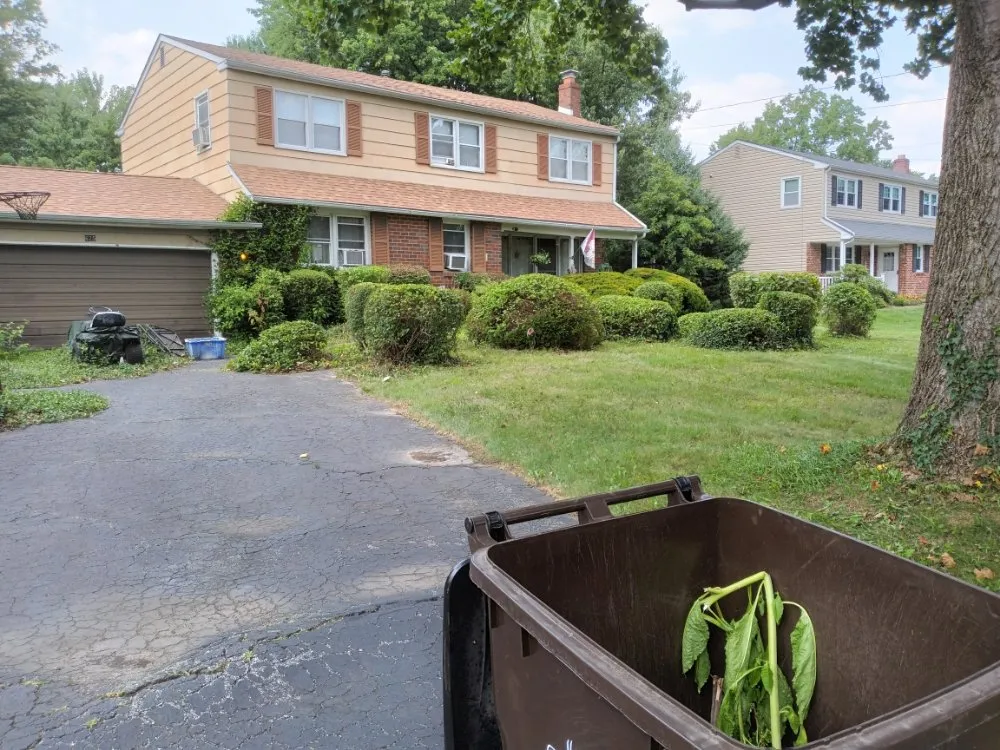 Local yard cleanup service with custom design in Norristown, PA by Luis Pr Lanscaping