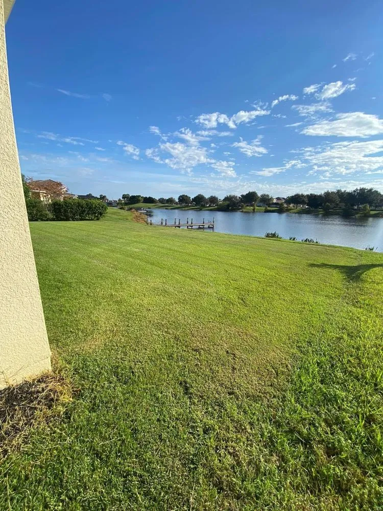 Expert yard cleanup service near you in Poinciana, FL by Luis Primetime Cleaners