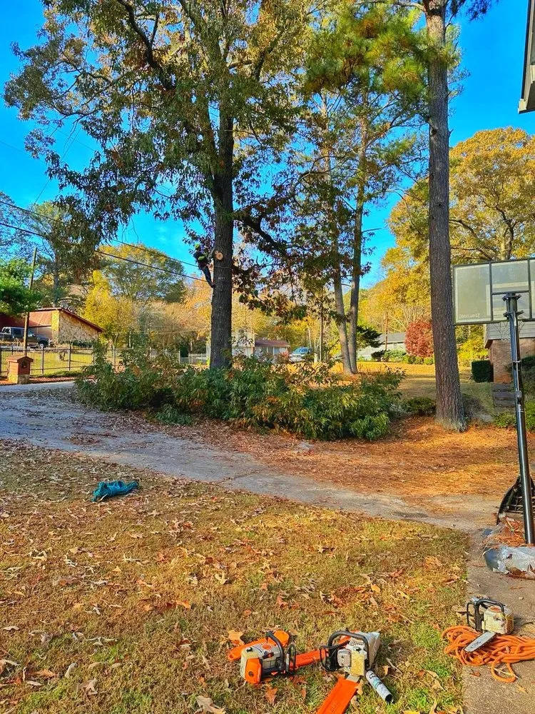 Affordable residential landscaping in Austell, GA - Luis Professional Tree Services