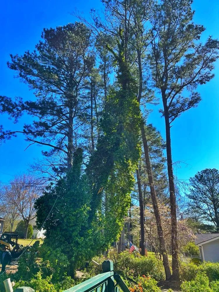 Trusted yard maintenance with custom design in Austell, GA by Luis Professional Tree Services