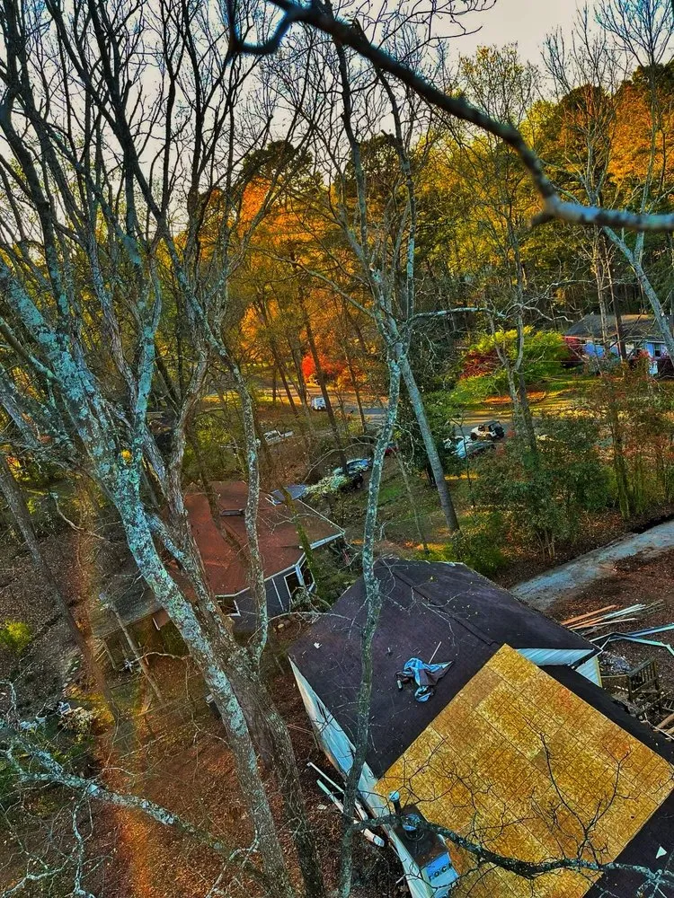 Affordable outdoor landscaping for year-round maintenance across Austell, GA - Luis Professional Tree Services