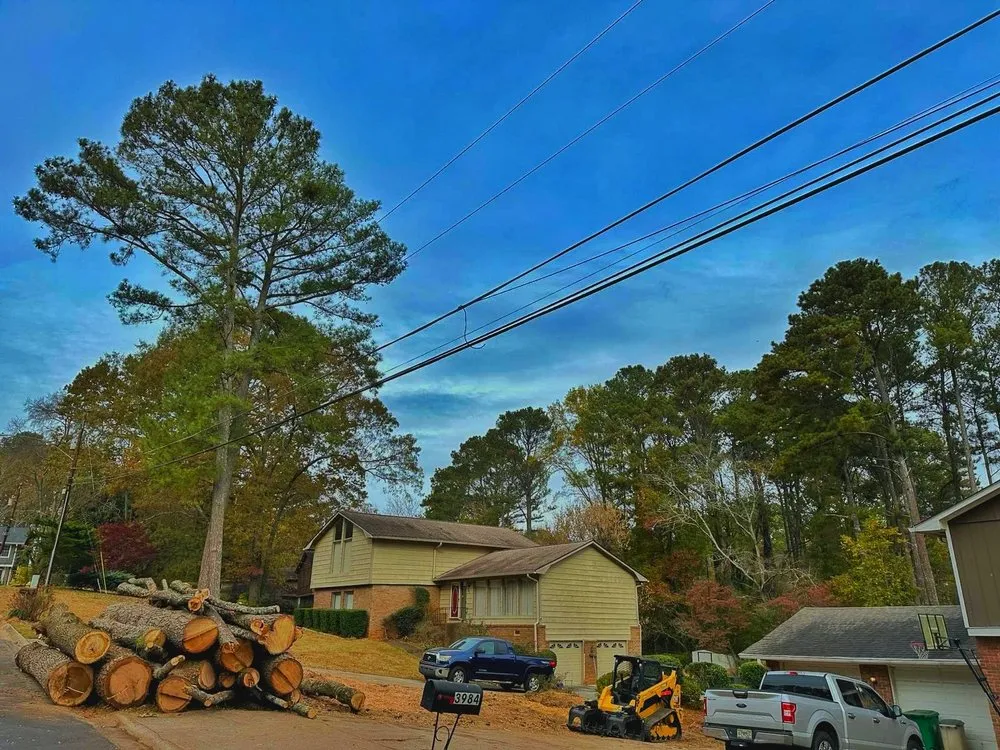 Expert yard maintenance near you across Austell, GA - Luis Professional Tree Services