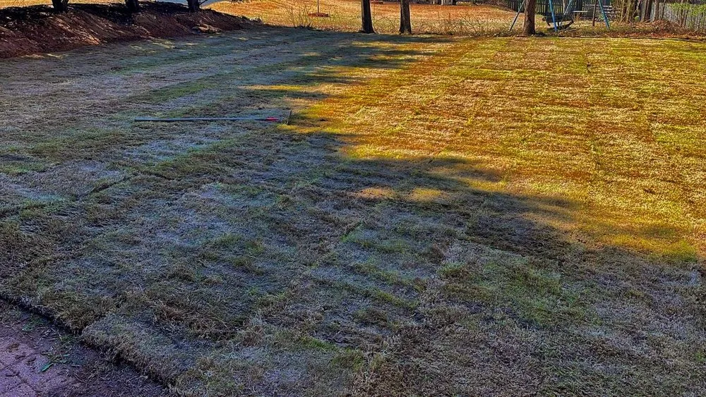 Reliable garden landscaping for residential properties across Austell, GA - Luis Professional Tree Services