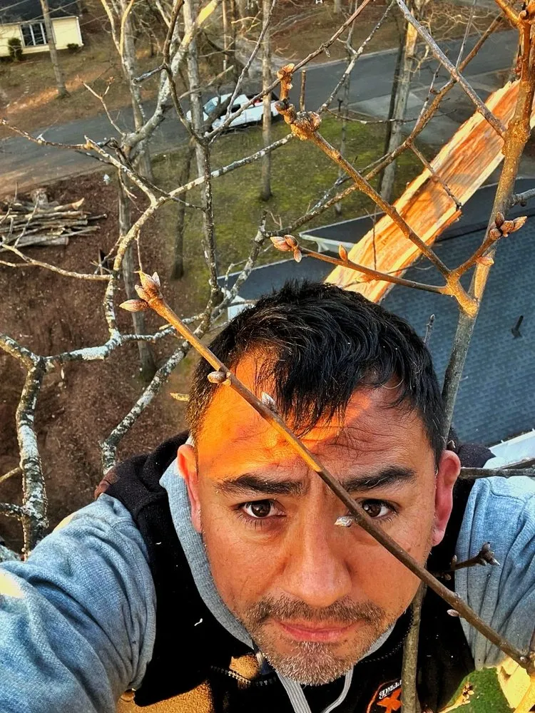 Affordable lawn care service for year-round maintenance across Austell, GA - Luis Professional Tree Services