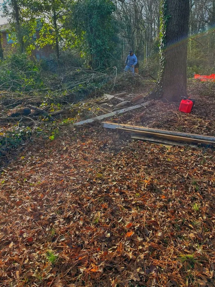 Expert landscape installation with custom design across Austell, GA - Luis Professional Tree Services