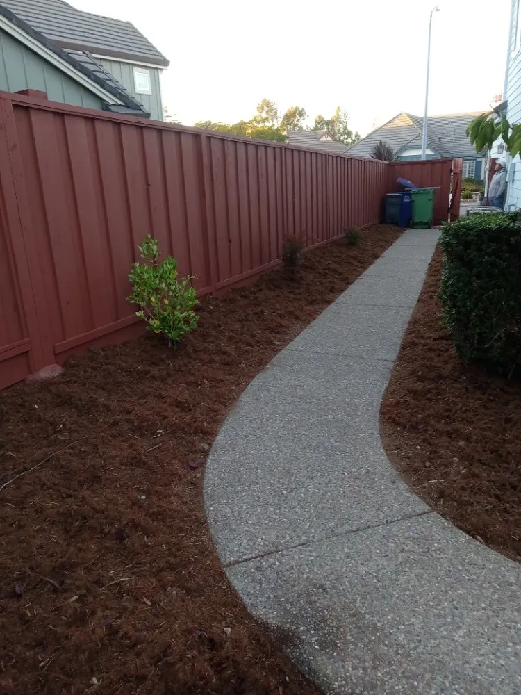Top-rated yard cleanup service with custom design in Oakland, CA by Luis Ramirez