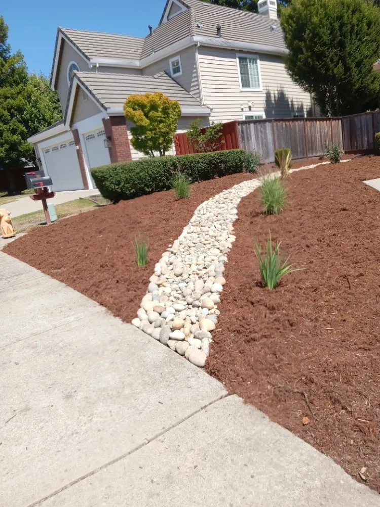 Professional yard maintenance for homes across Oakland, CA - Luis Ramirez