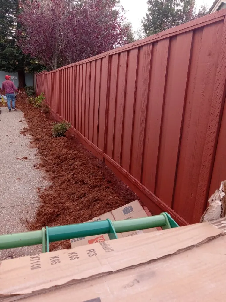 Expert outdoor landscaping for residential properties in Oakland, CA by Luis Ramirez