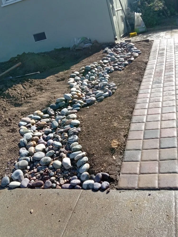 Top-rated lawn care service for outdoor upgrades across Oakland, CA - Luis Ramirez