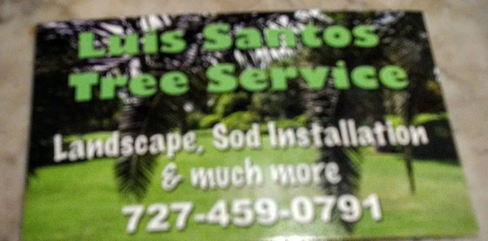Affordable lawn care service for beautiful yards across Pinellas Park, FL - Luis Santos Tree Service