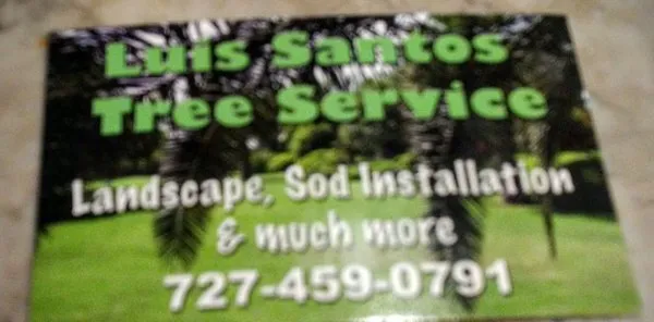 Luis Santos Tree Service Logo