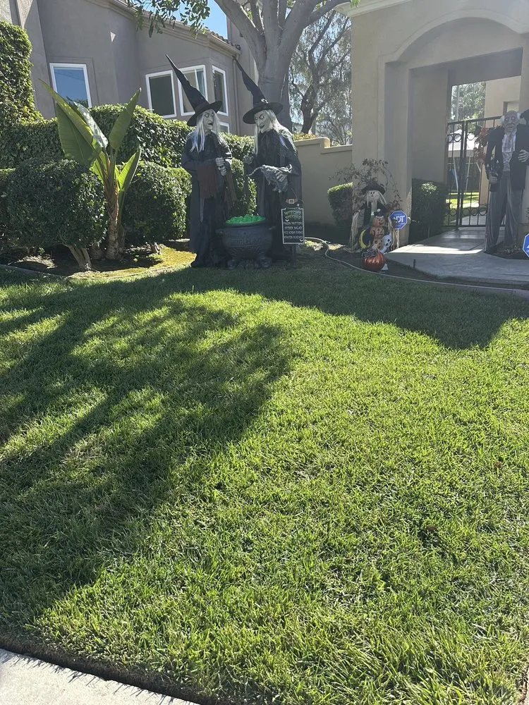 Affordable residential landscaping in Laguna Niguel, CA by Luis The Arborist