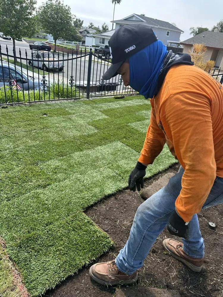 Expert lawn care service with custom design across Laguna Niguel, CA - Luis The Arborist