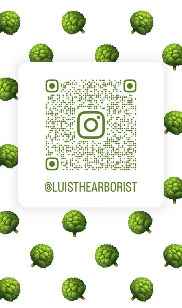 Expert outdoor landscaping for residential properties in Laguna Niguel, CA by Luis The Arborist