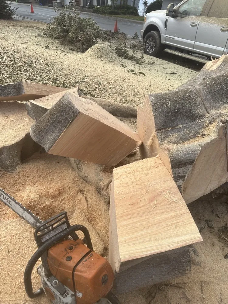 Professional residential landscaping for homes across Laguna Niguel, CA - Luis The Arborist