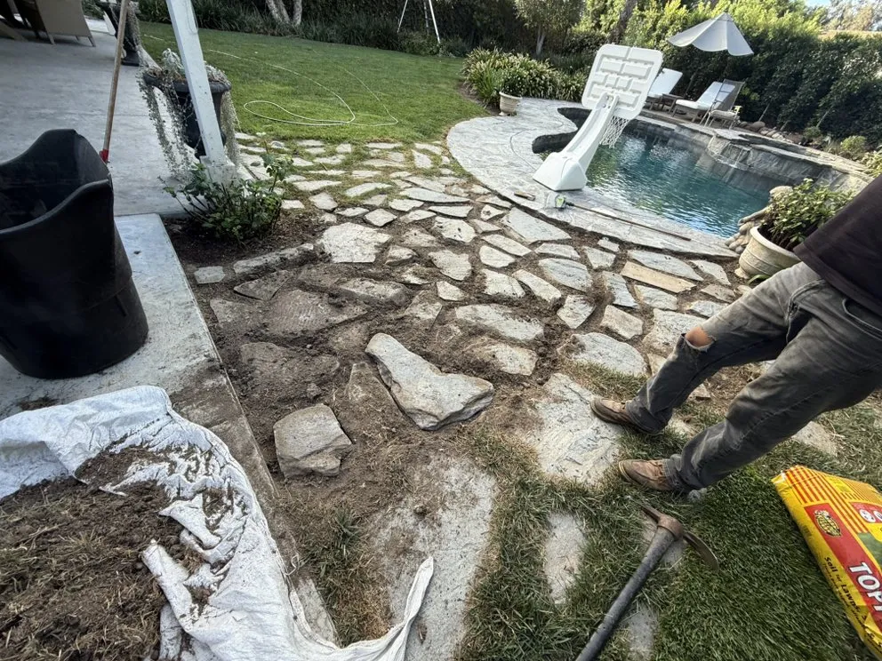 Trusted lawn mowing service experts serving Laguna Niguel, CA - Luis The Arborist