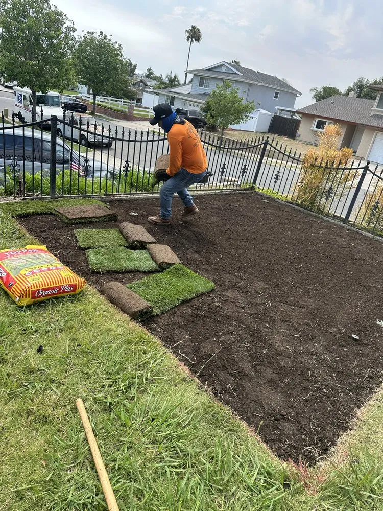 Reliable garden landscaping in Laguna Niguel, CA by Luis The Arborist