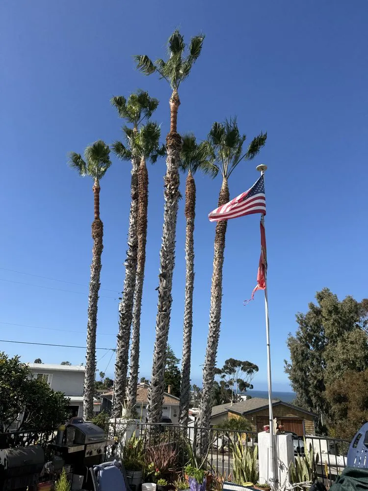 Trusted garden landscaping for year-round maintenance across Laguna Niguel, CA - Luis The Arborist