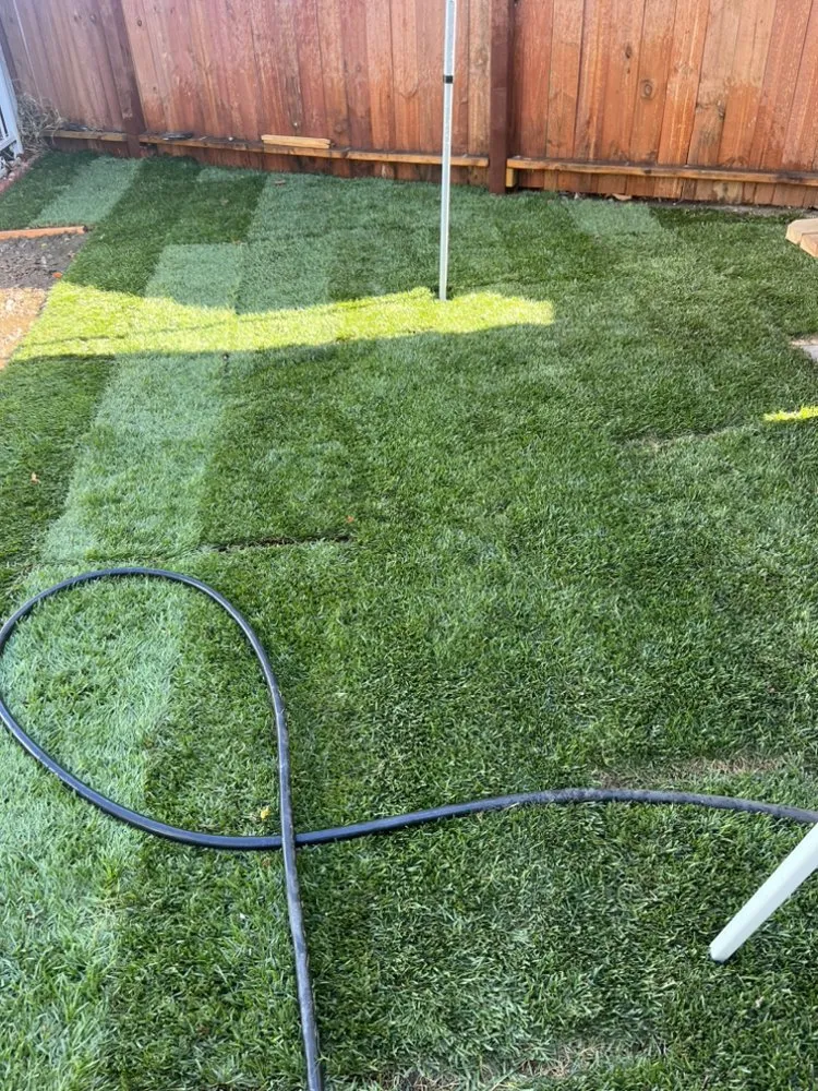 Trusted landscaping services in Long Beach, CA by Luis Torres Landscape And Gardening