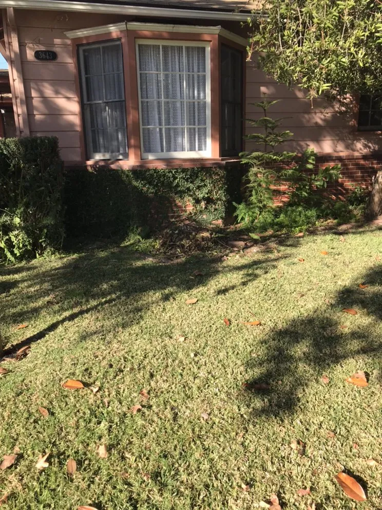 Trusted garden landscaping in Long Beach, CA by Luis Torres Landscape And Gardening