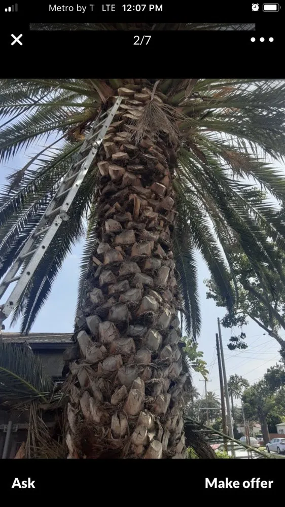 Reliable outdoor landscaping for outdoor upgrades in Long Beach, CA by Luis Torres Landscape And Gardening