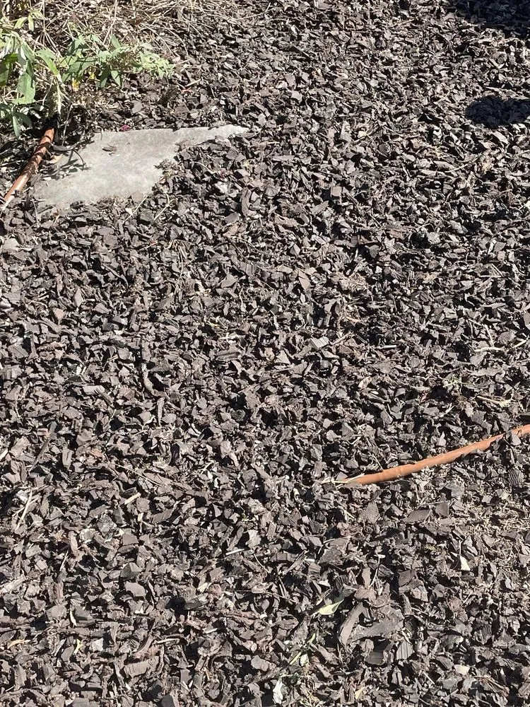 Expert outdoor landscaping for outdoor upgrades across Long Beach, CA - Luis Torres Landscape And Gardening