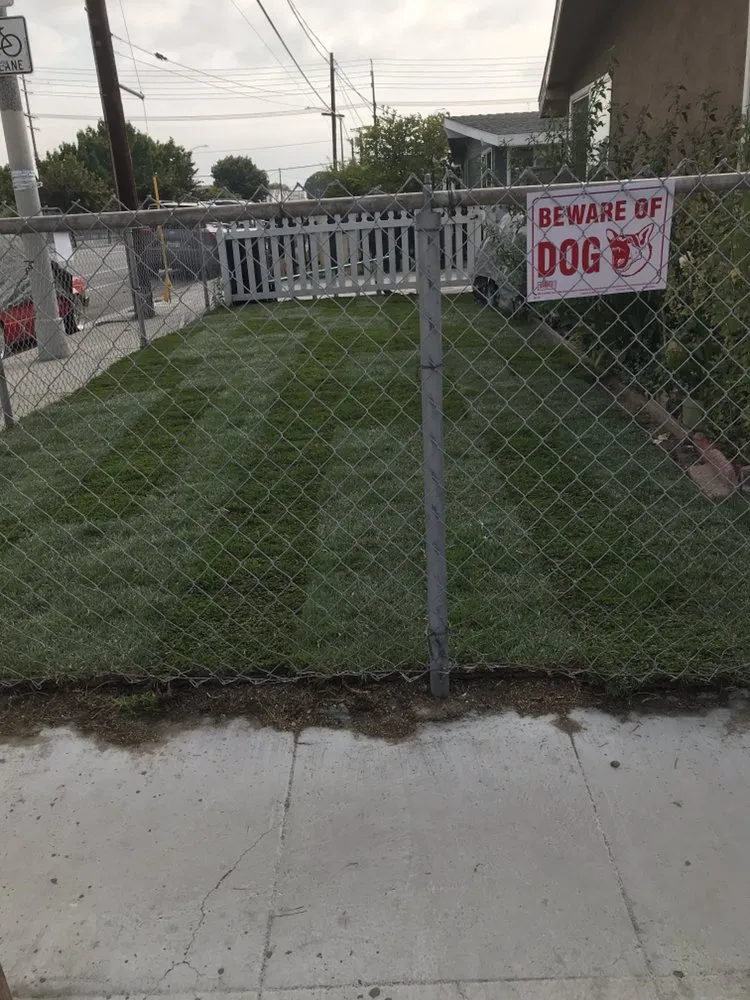 Expert landscaping services in Long Beach, CA by Luis Torres Landscape And Gardening