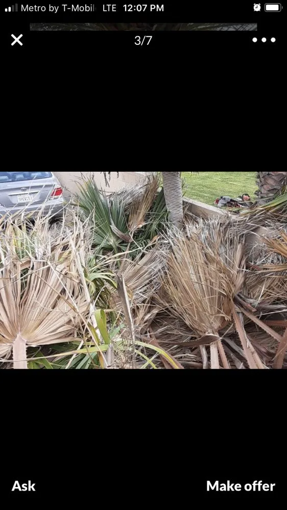 Trusted landscaping services for homes in Long Beach, CA by Luis Torres Landscape And Gardening