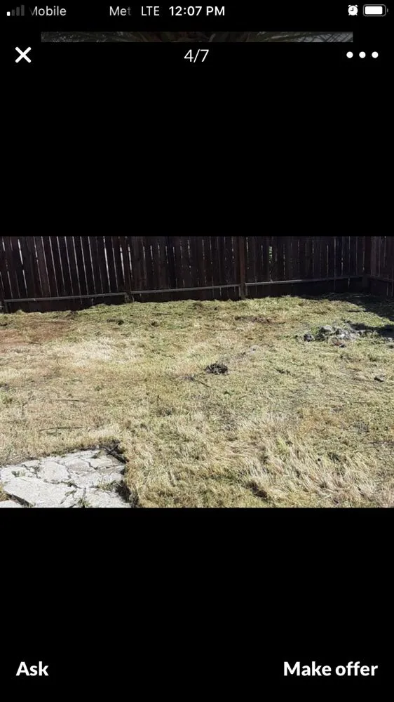 Professional yard cleanup service in Long Beach, CA by Luis Torres Landscape And Gardening