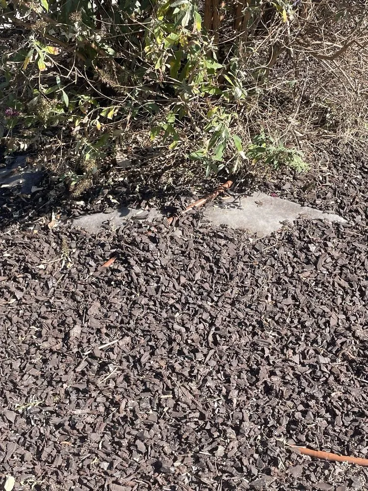 Reliable landscape design for homes across Long Beach, CA - Luis Torres Landscape And Gardening